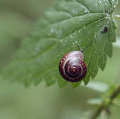 tkm003_551371