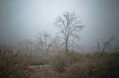 tkm003_551737