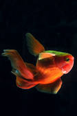 tkm003_551752