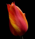 tkm003_553061