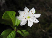 tkm003_553068