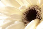 tkm003_553097