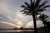 tkm003_576190