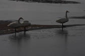 tkf002_100255