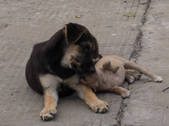 tkf002_100959
