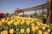 tkf002_100986