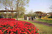 tkf002_100989