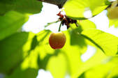 tkf002_100994