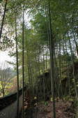 tkf002_101014