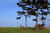 tkf002_101081