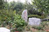 tkf002_101239