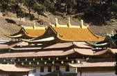 tkm002_100256