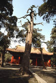 tkm002_100728