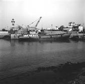tkm002_100739