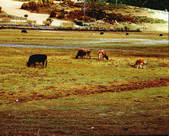 tkm002_100944