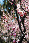 tkf002_102541