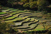 tkf002_102608