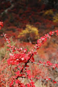 tkf002_102662