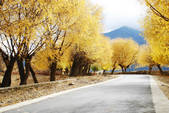 tkf002_102684
