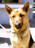 tkm002_105532