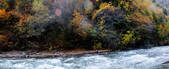 tkf002_103365
