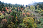 tkf002_103393