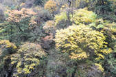 tkf002_103409