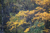 tkf002_103422