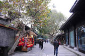 tkf002_103529