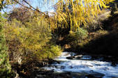 tkf002_103589