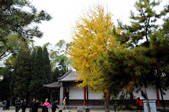 tkm002_106744