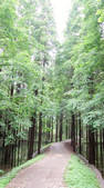 tkf002_104295