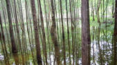 tkf002_104298