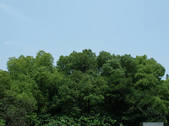 tkf002_104485