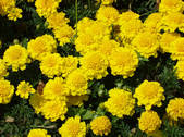 tkf002_104501