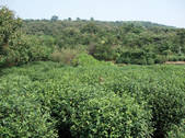 tkf002_104777