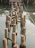 tkf002_104856