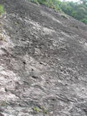 tkf002_105595