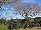 tkf002_107256