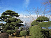 tkf002_107257