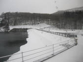 tkf002_107344
