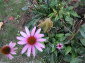 tkf002_116128
