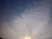 tkf002_116692