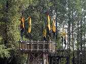 tkf002_116943