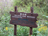 tkf002_117239