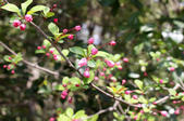 tkf002_133181
