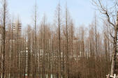 tkf002_133318