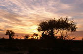 tkm002_108953