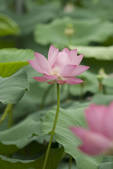 tkf002_108671