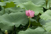 tkf002_108676